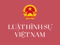Tư vấn pháp luật hình sự